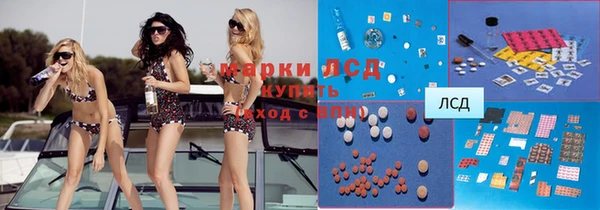 ГАЛЛЮЦИНОГЕННЫЕ ГРИБЫ Бородино