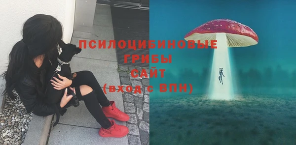 ALPHA PVP Бронницы