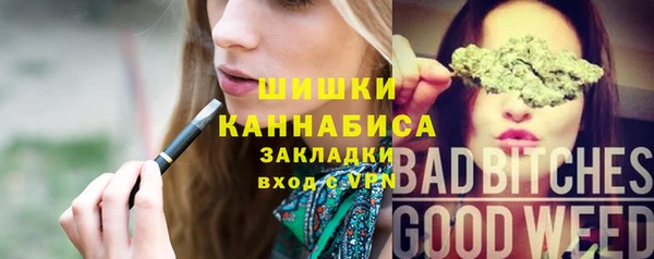 ГАЛЛЮЦИНОГЕННЫЕ ГРИБЫ Бородино