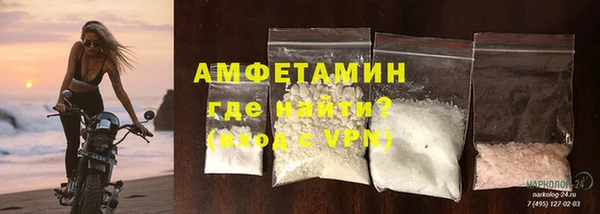 ГАЛЛЮЦИНОГЕННЫЕ ГРИБЫ Бородино