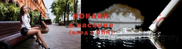 ГАЛЛЮЦИНОГЕННЫЕ ГРИБЫ Бородино
