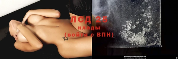 ГАЛЛЮЦИНОГЕННЫЕ ГРИБЫ Бородино