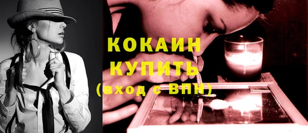 ГАЛЛЮЦИНОГЕННЫЕ ГРИБЫ Бородино